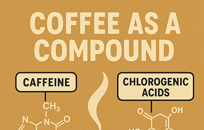 Tamas' Brewing Guide Part 3: Coffee as a compound & the journey to the 100 point coffee...