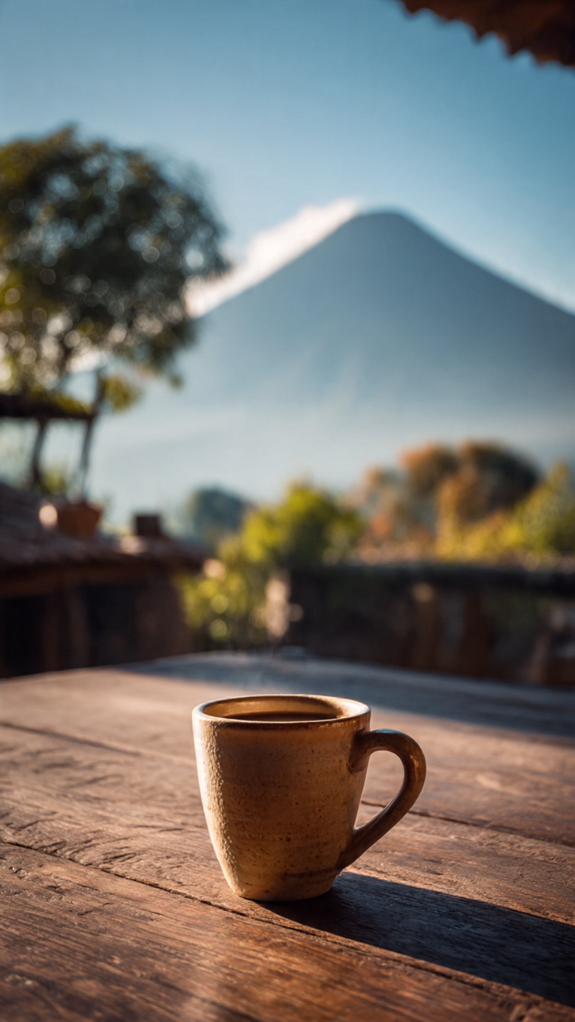 Organic Guatemala Huehuetenango Flor De Cafe
