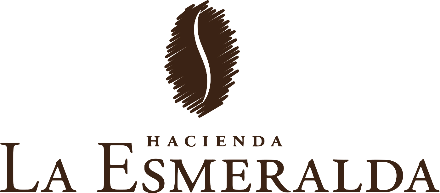 Esmeralda Geisha Noria Natural Process