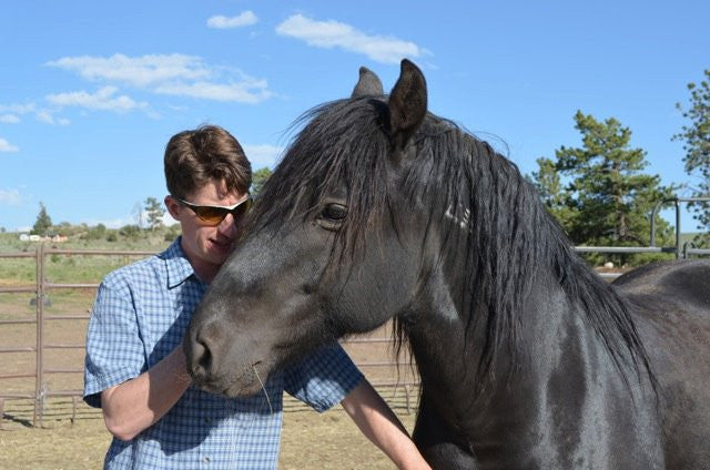 Merlin&#39;s Dark Horse Blend